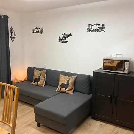 2.5 Pieces Au Coeur De Fee Apartment